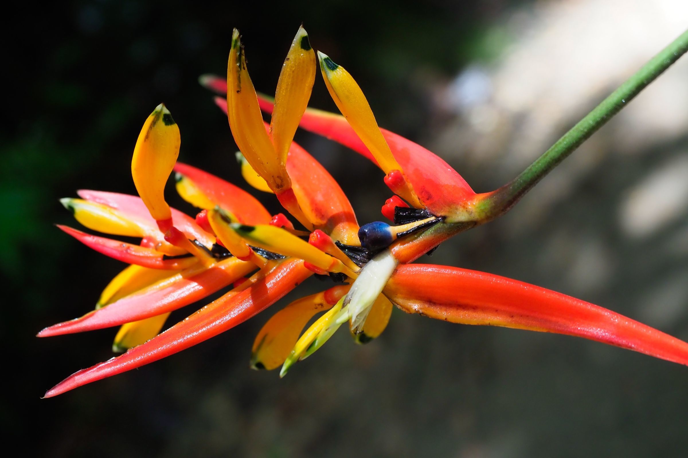 Foto de aude.photos 13