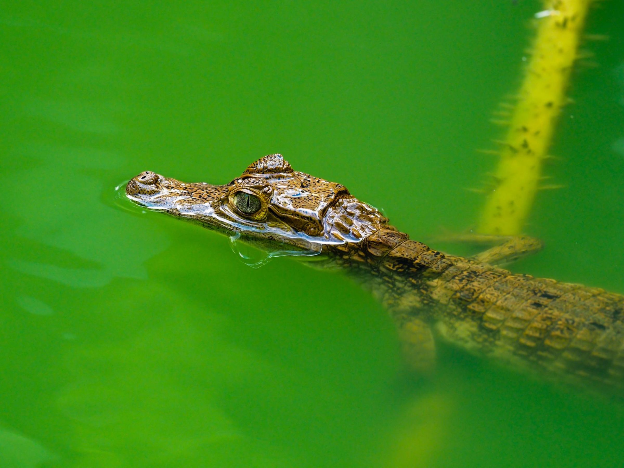 Foto de aude.photos 14