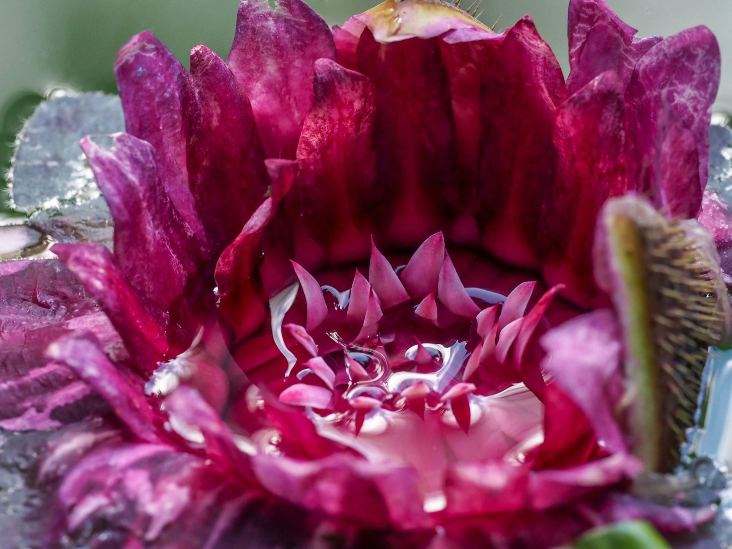 Foto de aude.photos 15