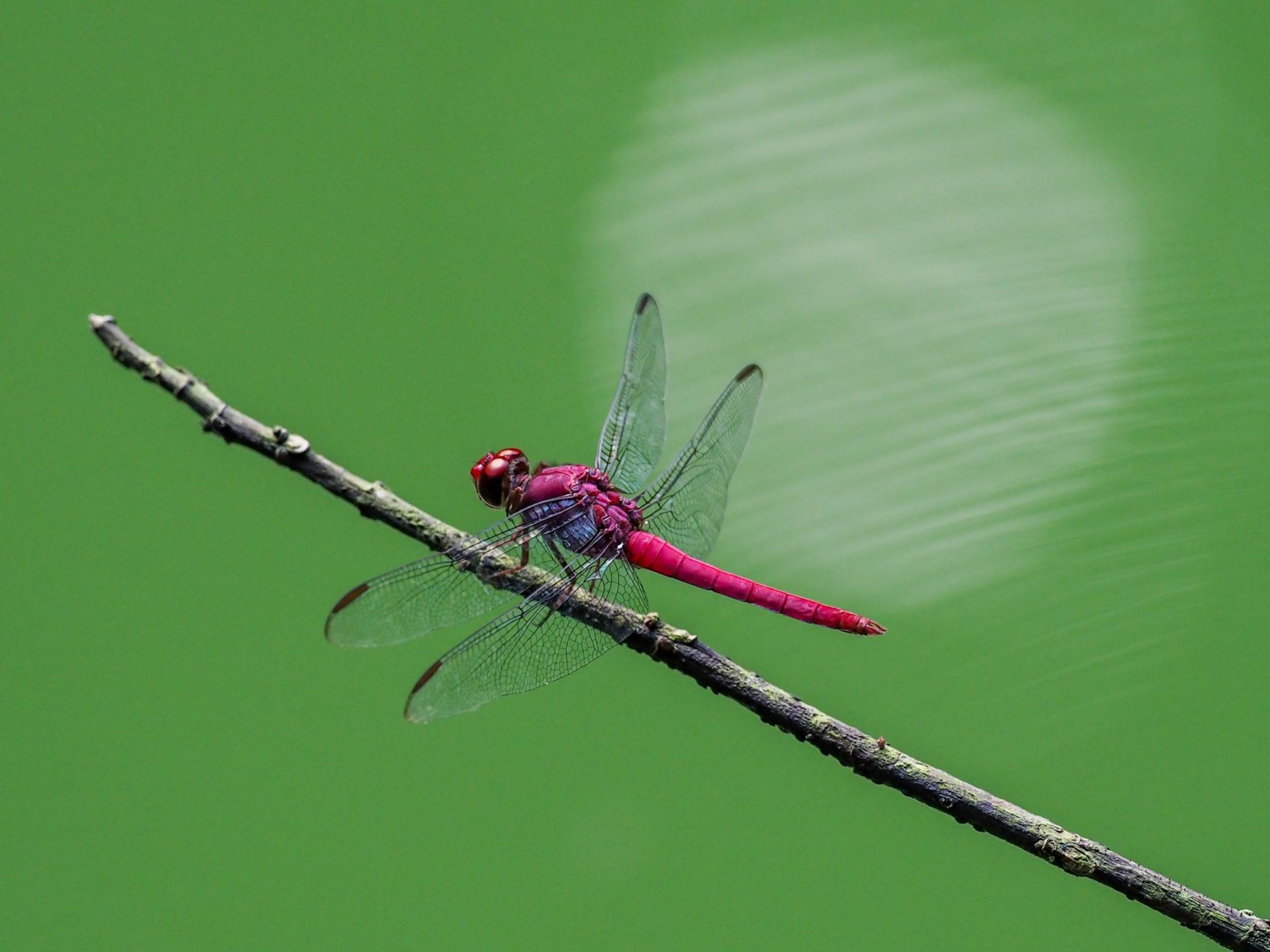 Foto de aude.photos 16