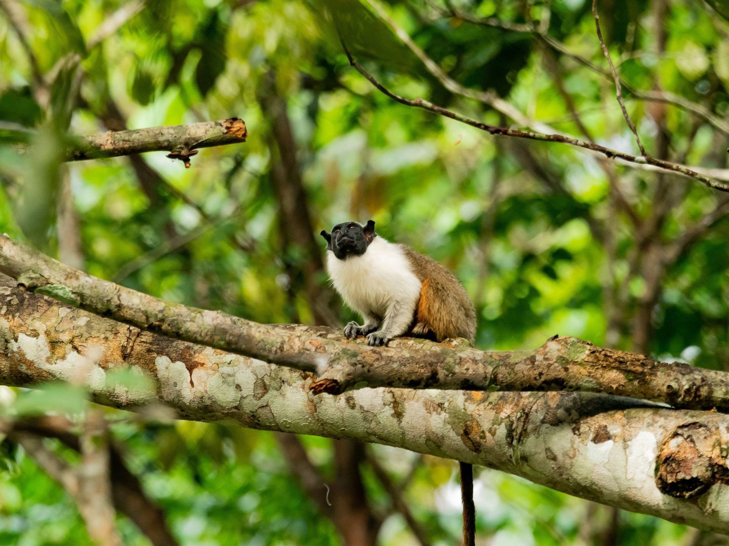 Foto de aude.photos 41