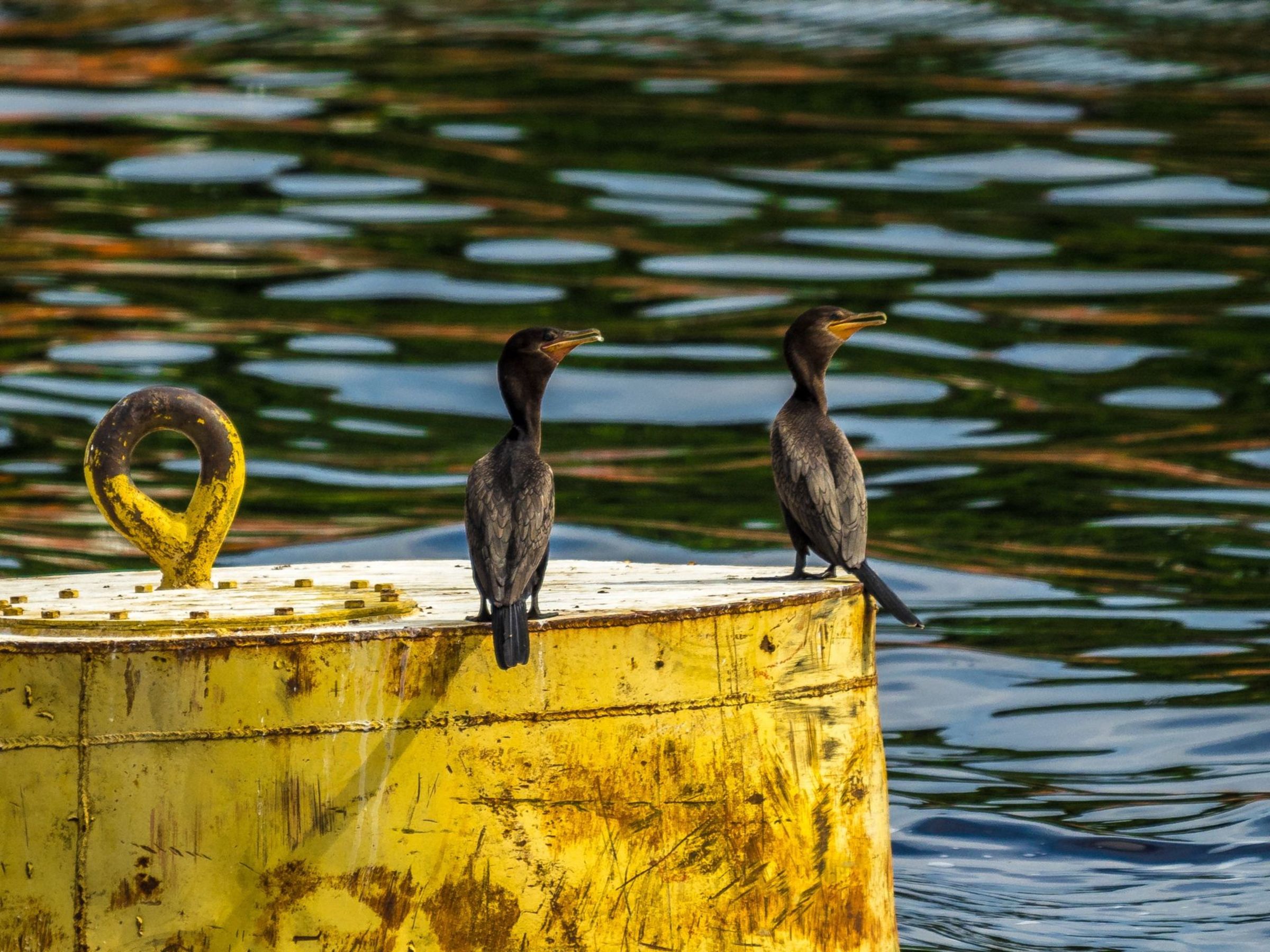 Foto de aude.photos 37