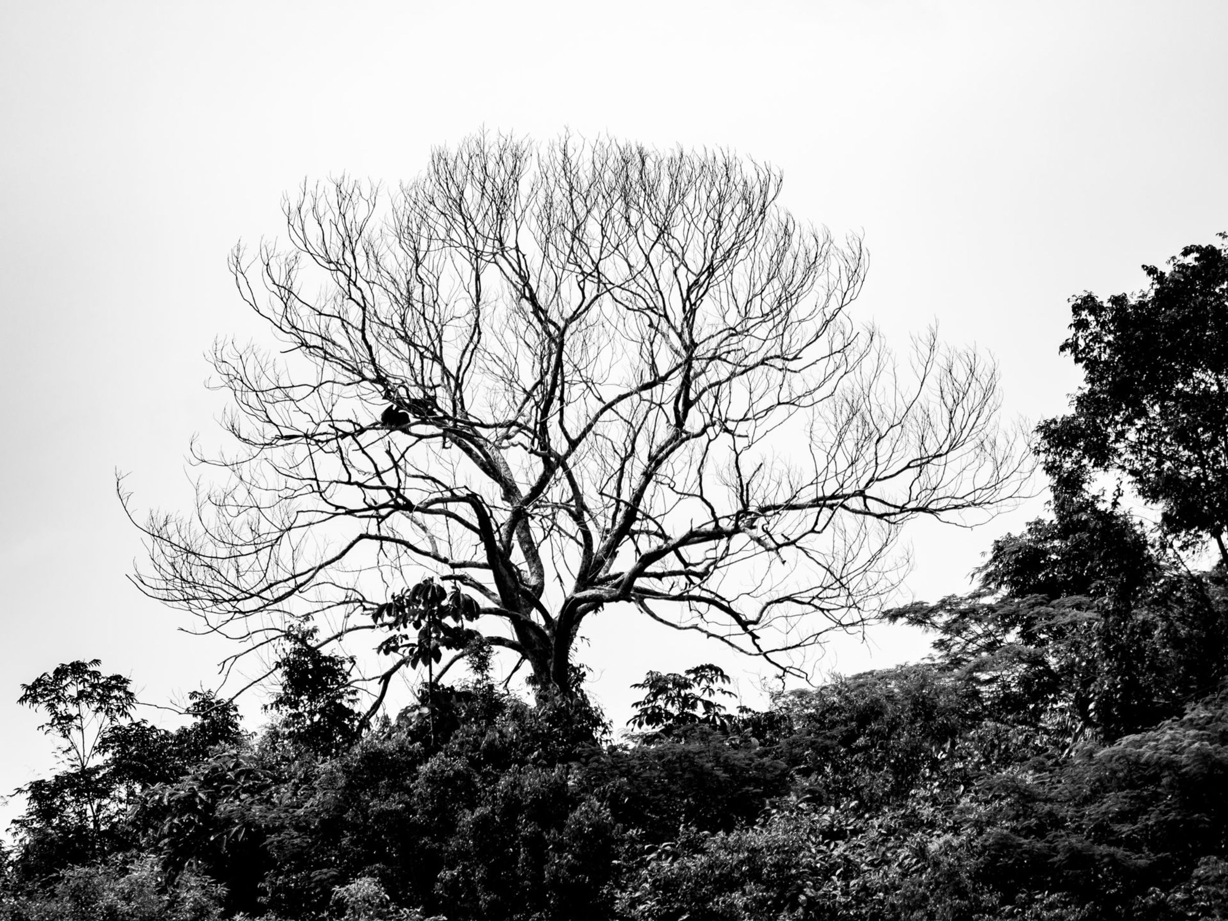 Foto de aude.photos 17