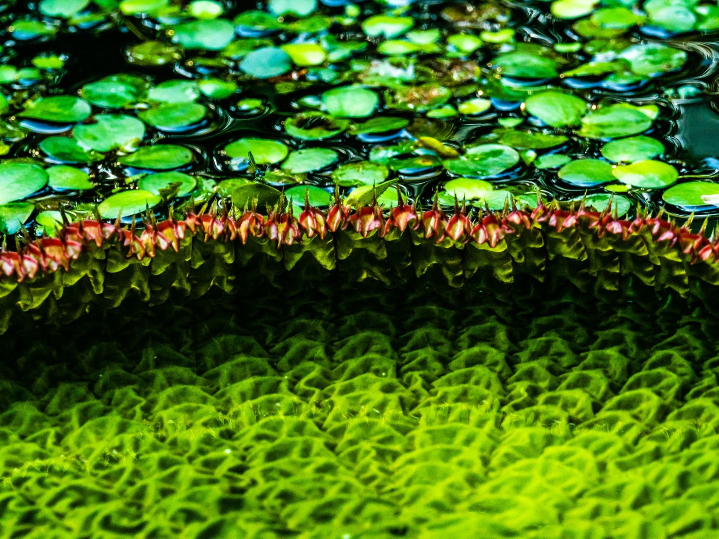 Foto de aude.photos 31