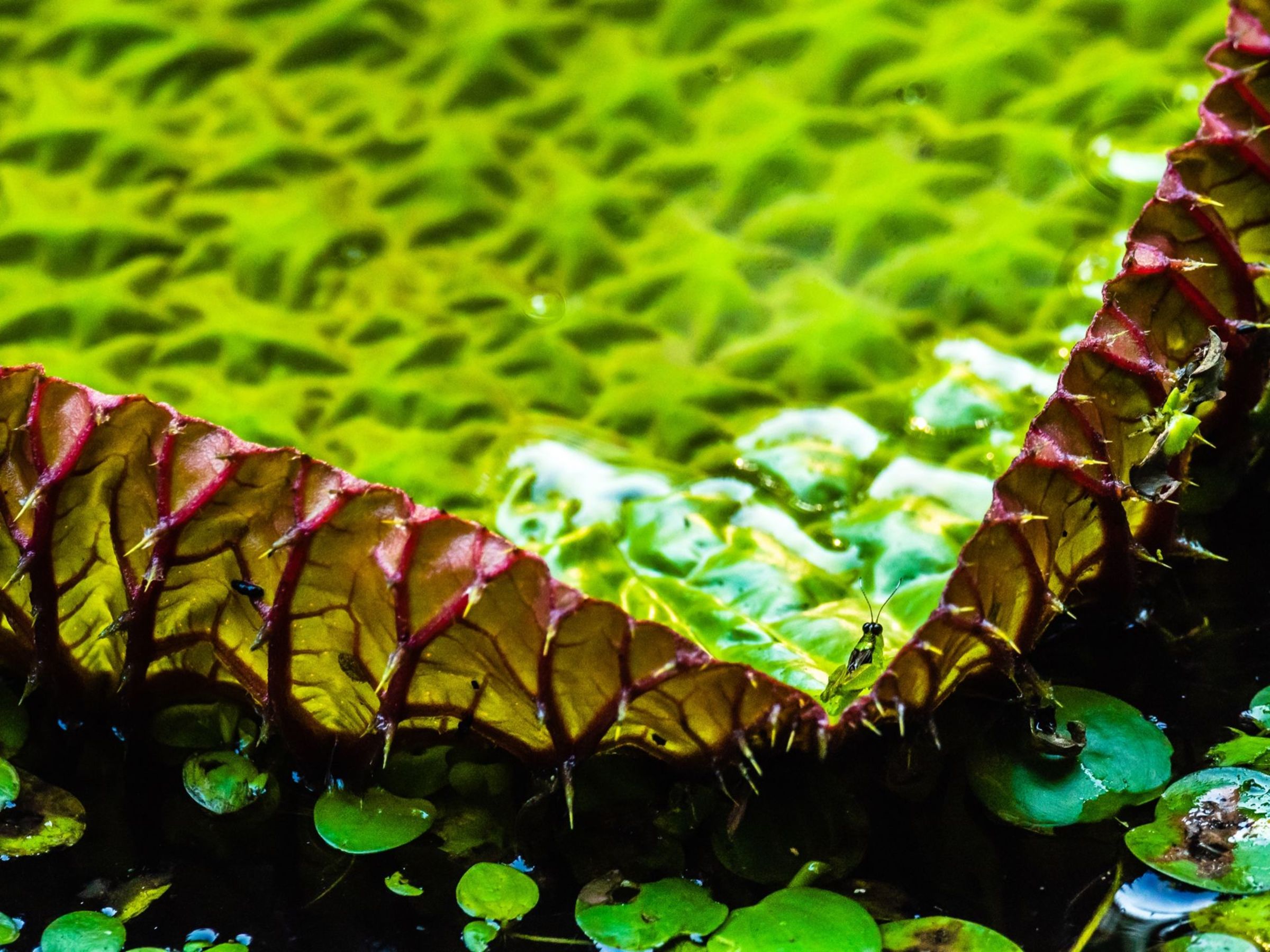 Foto de aude.photos 33