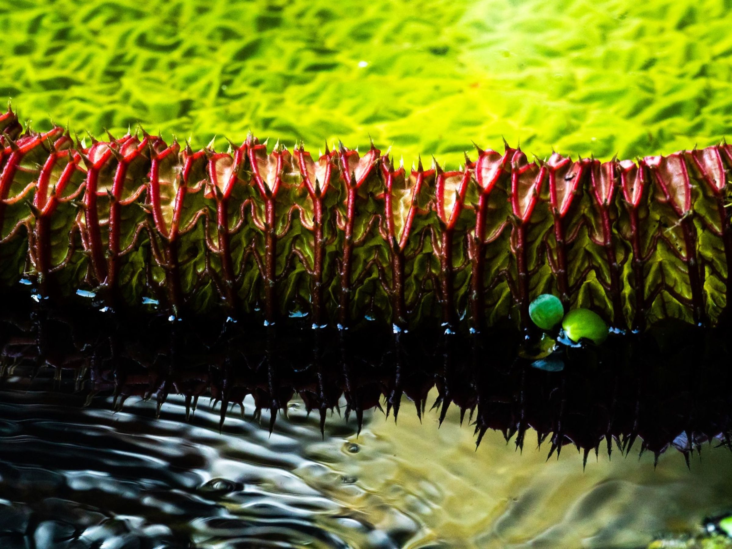 Foto de aude.photos 32