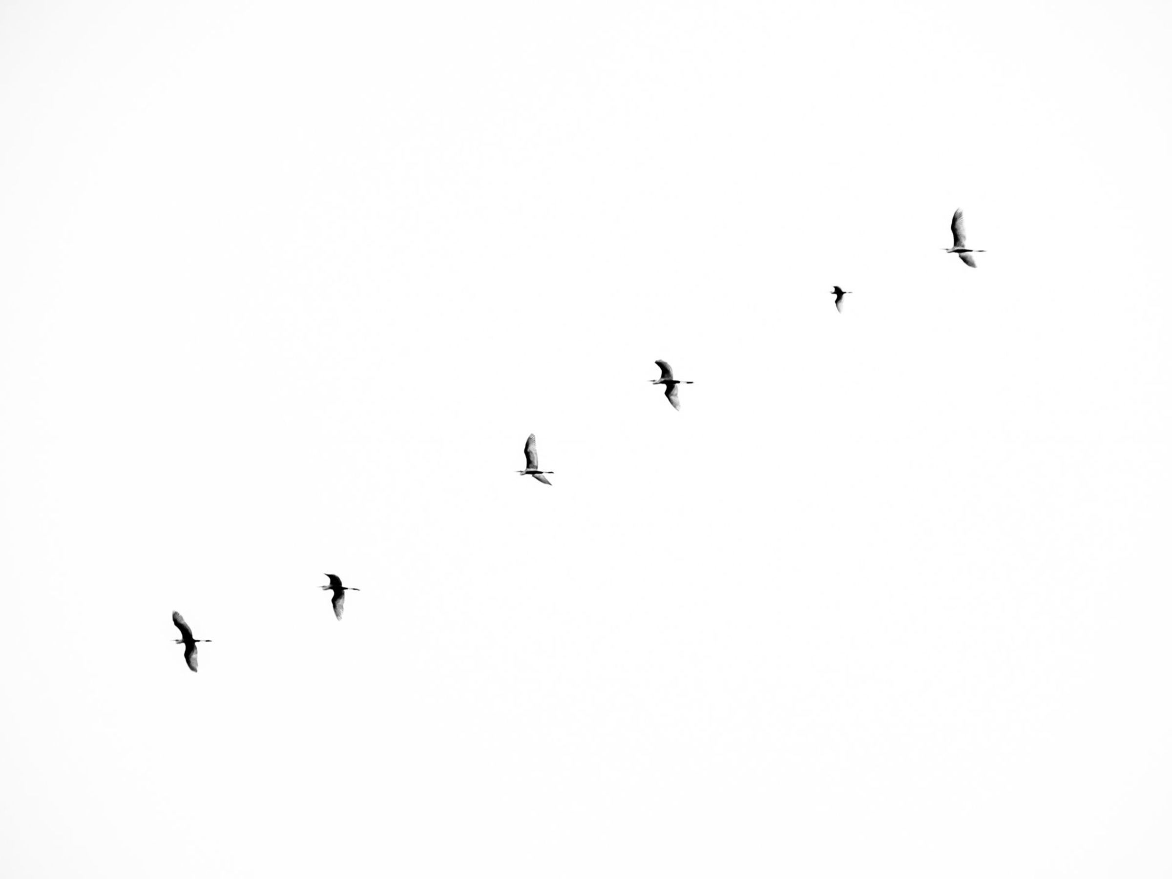 Foto de aude.photos 34