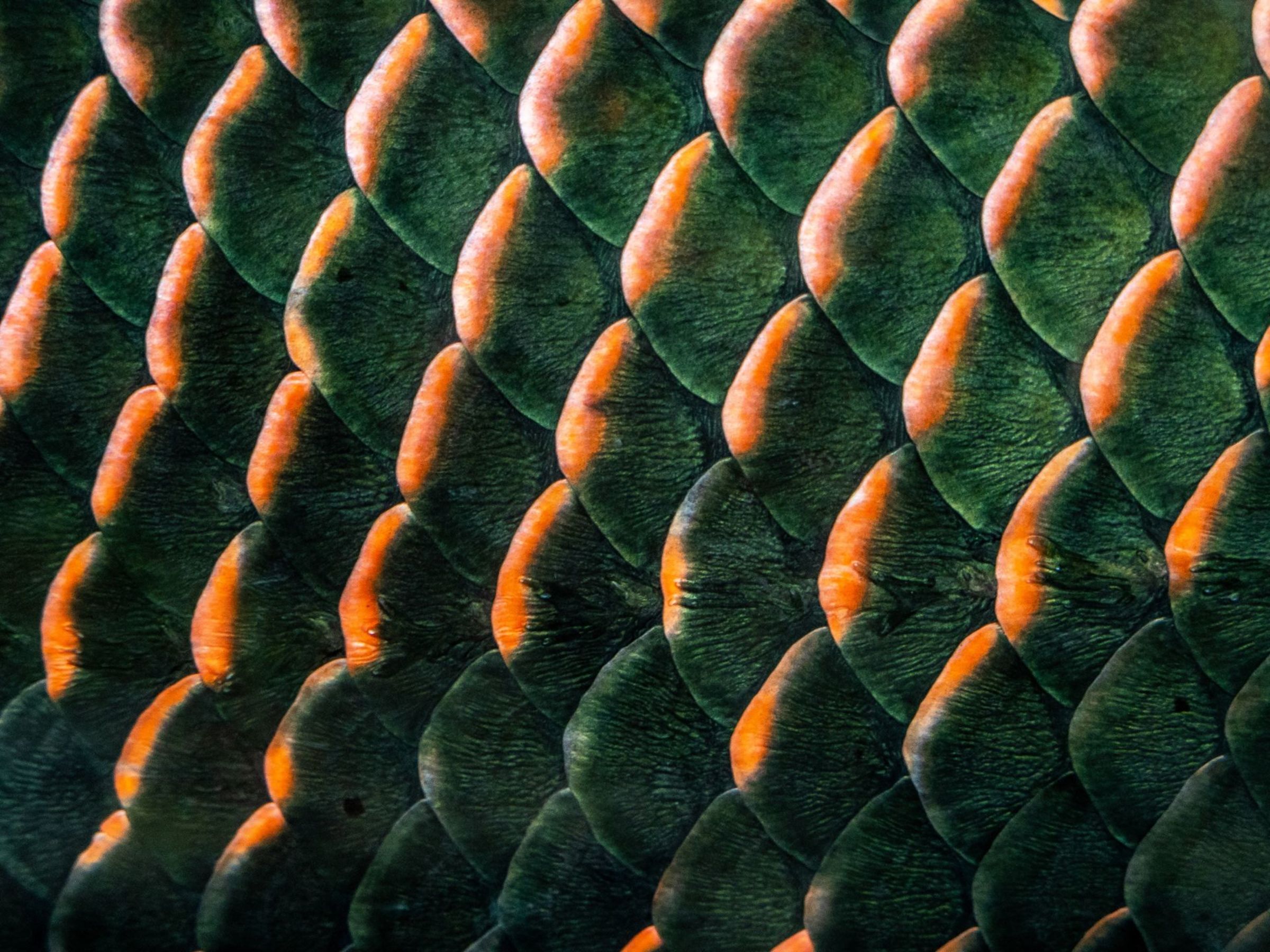 Foto de aude.photos 29