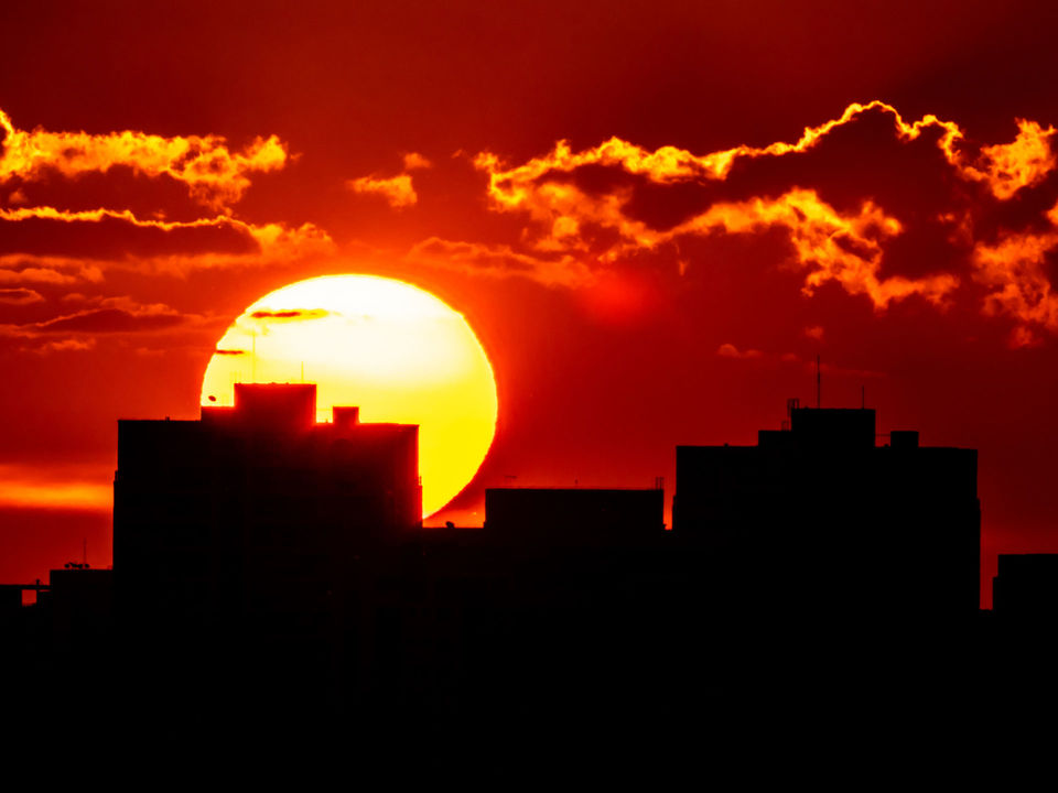 Amazonas Plural 2019