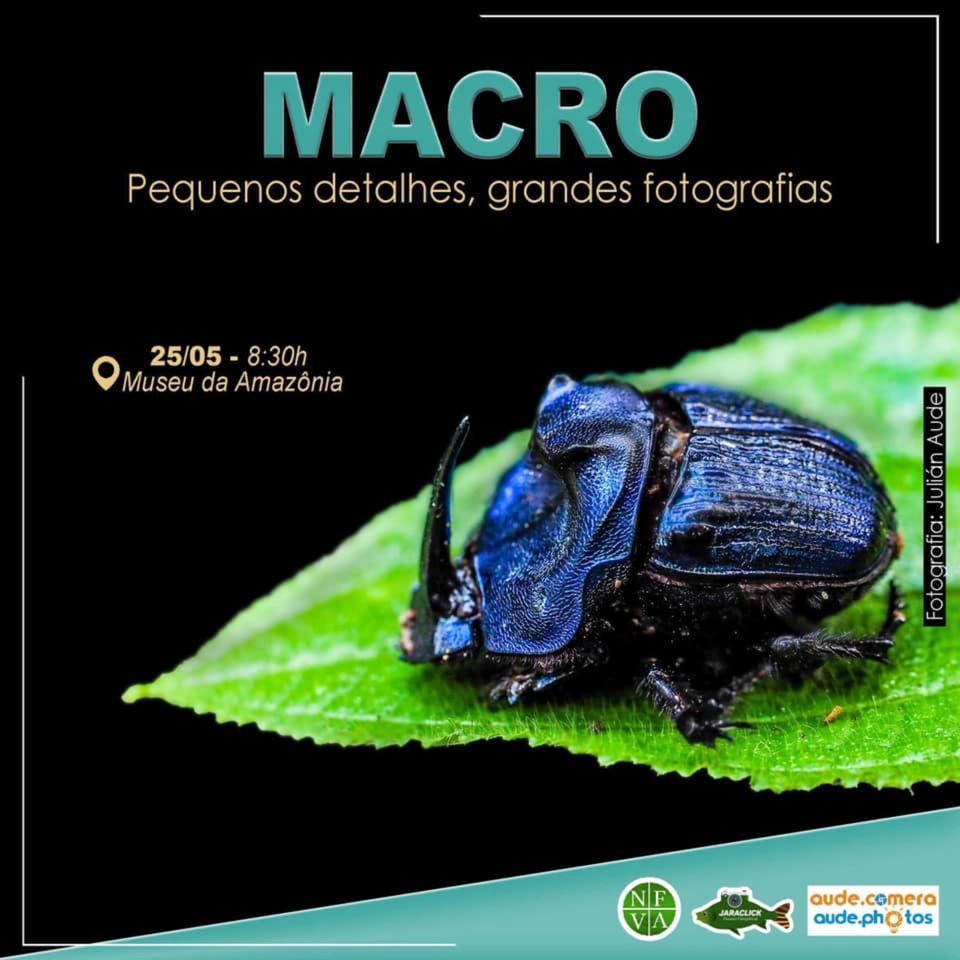 Saída Fotográfica "MACRO" Saída Fotográfica "MACRO"