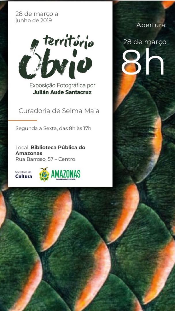 Foto XI Festival Nossa Arte da FEAPAES-AM - Imagem 1